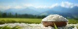Asian uncooked white rice in background of a field