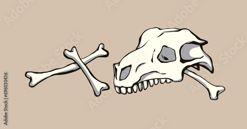 Bones and skull of a horse. Vector drawing