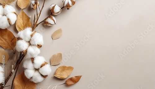 Border crafted from eucalyptus branches, cotton flowers, and dried leaves on a soft gray backdrop. Autumn-themed setup. Overhead view in a flat lay style