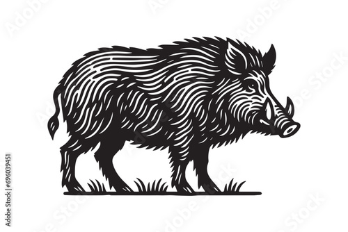 A wild boar. Vintage retro engraving illustration. Black icon, isolated element photo