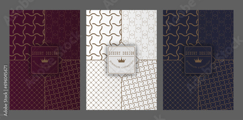 A luxurious pattern. A set of spectacular patterns for covers, prints, interior design, packaging, premium funds and creative ideas