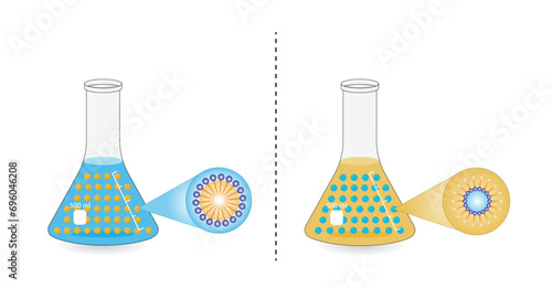 Emulsion types, a mixture of two immiscible liquids (oil and water), Emulsion oil in water, water in oil Immiscible liquids. Emulsifier types, structure. Vector design.