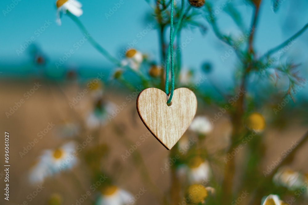 Two beautiful heart-shaped flowers filled with love and happiness. Two beautiful heart-shaped flowers filled with love and happiness.