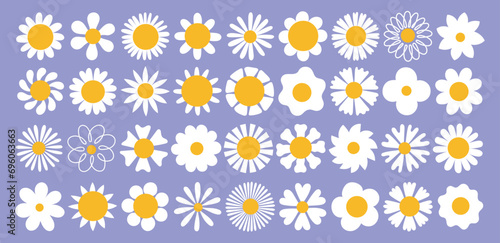Fototapeta Naklejka Na Ścianę i Meble -  Cute daisy flowers large collection. different shapes white inflorescences, gentle camomiles petals, cartoon field plants, vector set.eps