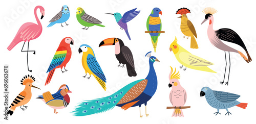 Decorative tropical birds. Exotic bright parakeets, colorful feathered creatures, pink flamingo, peacock, hummingbird and toucan, vector set.eps
