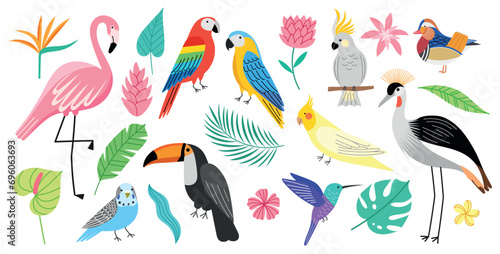 Exotic birds and tropical plants. Bright decorative plumage creatures, beautiful parrots and flamingo, monstera and palm leaves, vector set.eps