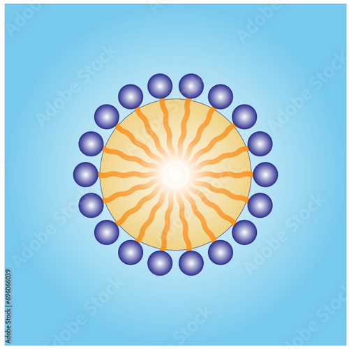 Emulsifier types, structure. Emulsion oil in water, water in oil. Emulsion, a mixture of two immiscible liquids. Emulsification, Surfactants. isolated on white background. Vector illustration