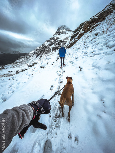 Winter Trek with Dog in Swiss Alps