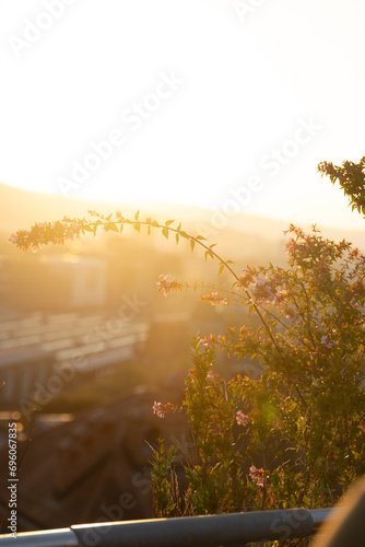 Golden Hour in Engadin
