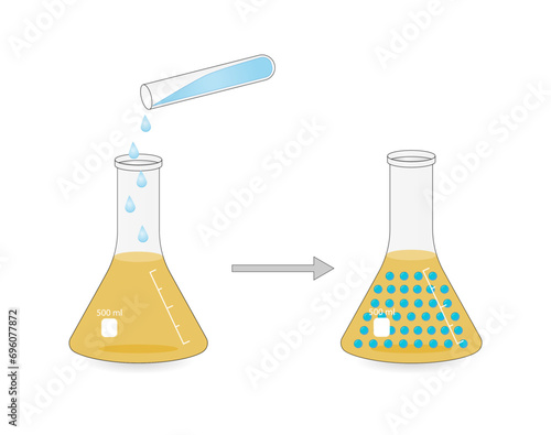 Emulsion, a mixture of two immiscible liquids (oil and water) in beakers, Emulsion water in oil, Immiscible liquids. Emulsification, emulsifier. isolated on white background. Vector illustration.