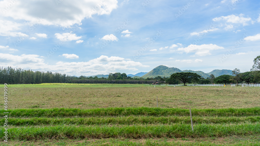 Picture of a wide field where plowing is done Prepare the soil for new plants to grow in the winter. Along the edge there is a ridge of grass. The back is lined with trees and low mountains.