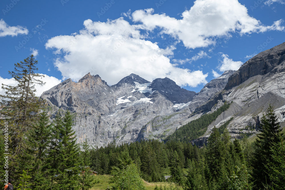 Alps mountain peak with glacier with pine tree in Kandersteg, Switzerland