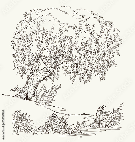 Vector drawing. Tree at the lake