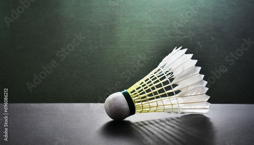badminton feather shuttlecock by badminton racket