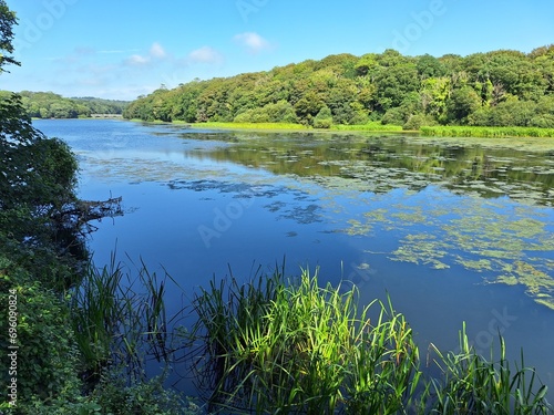 Obraz na plátně lilypond
