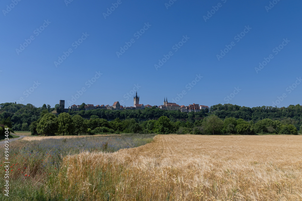 Bad Wimpfen with a view of the old church and the historic city wall over fields