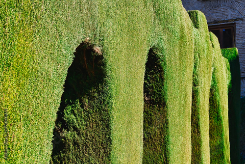 Sculpted gardens in Alhambra, Granada, Spain