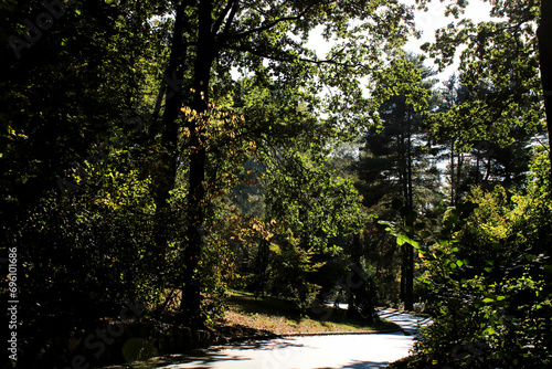 Winding path of the autumn park
