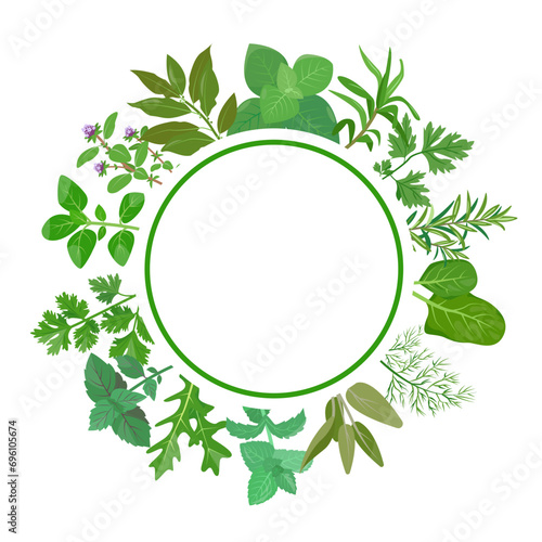 Culinary herbs in circle. Fresh green herb leaves with round emblem. Popular culinary herbs leaf set. Design concept for menu, restaurant, market. Vector illustration isolated on white background.