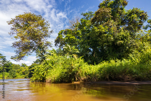 Boat trip from Tortuguero National Park canals (Costa Rica)