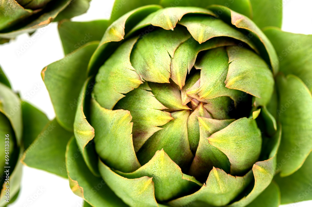 Fototapeta premium fresh artichoke on white background 5