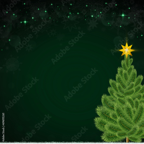 Fir tree isolated on green background.