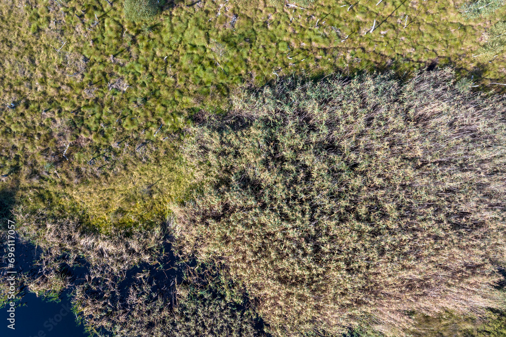 Aerial top drone view of swamp area Aerial top drone view of swamp area