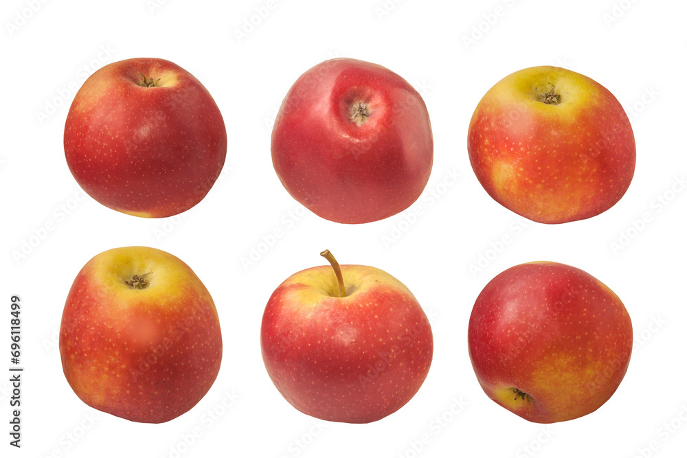 Winter apple variety Champion on a white background Winter apple variety Champion on a white background