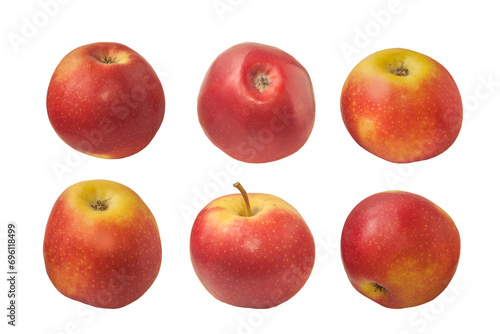 Winter apple variety Champion on a white background
