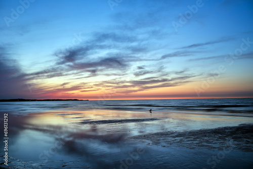 Fototapeta Naklejka Na Ścianę i Meble -  seagull at sunset on a sandy beach on the Baltic Sea in the evening