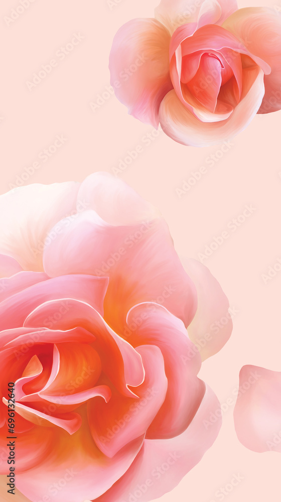 Pink Roses Illustration Pink Roses Illustration