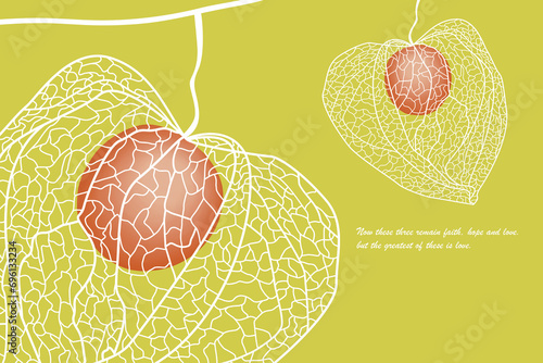 Cuadro en lienzo ground cherry illustration