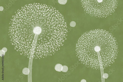dandelion seeds illustration