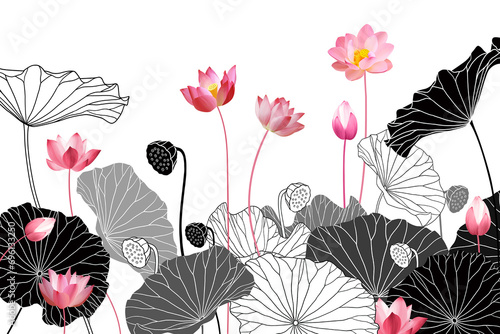 lotus pond illustration
