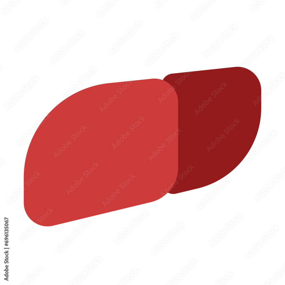liver liver