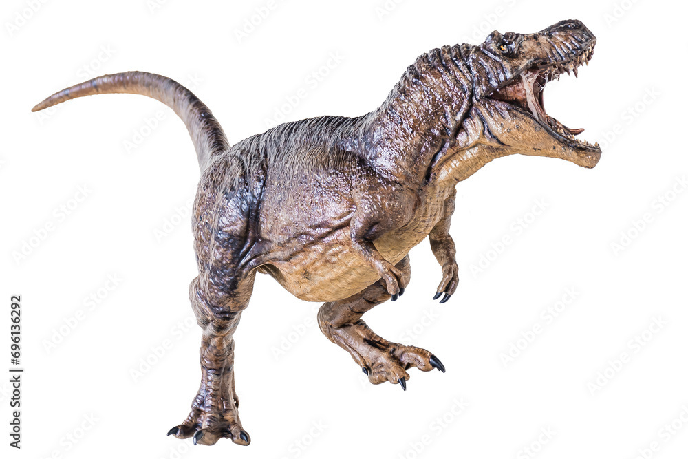 Trex Tyrannosaurus dinosaur on isolated background Trex Tyrannosaurus dinosaur on isolated background