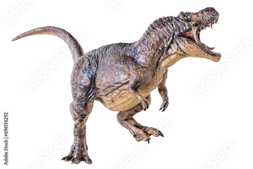 Trex Tyrannosaurus dinosaur on isolated background © meen_na