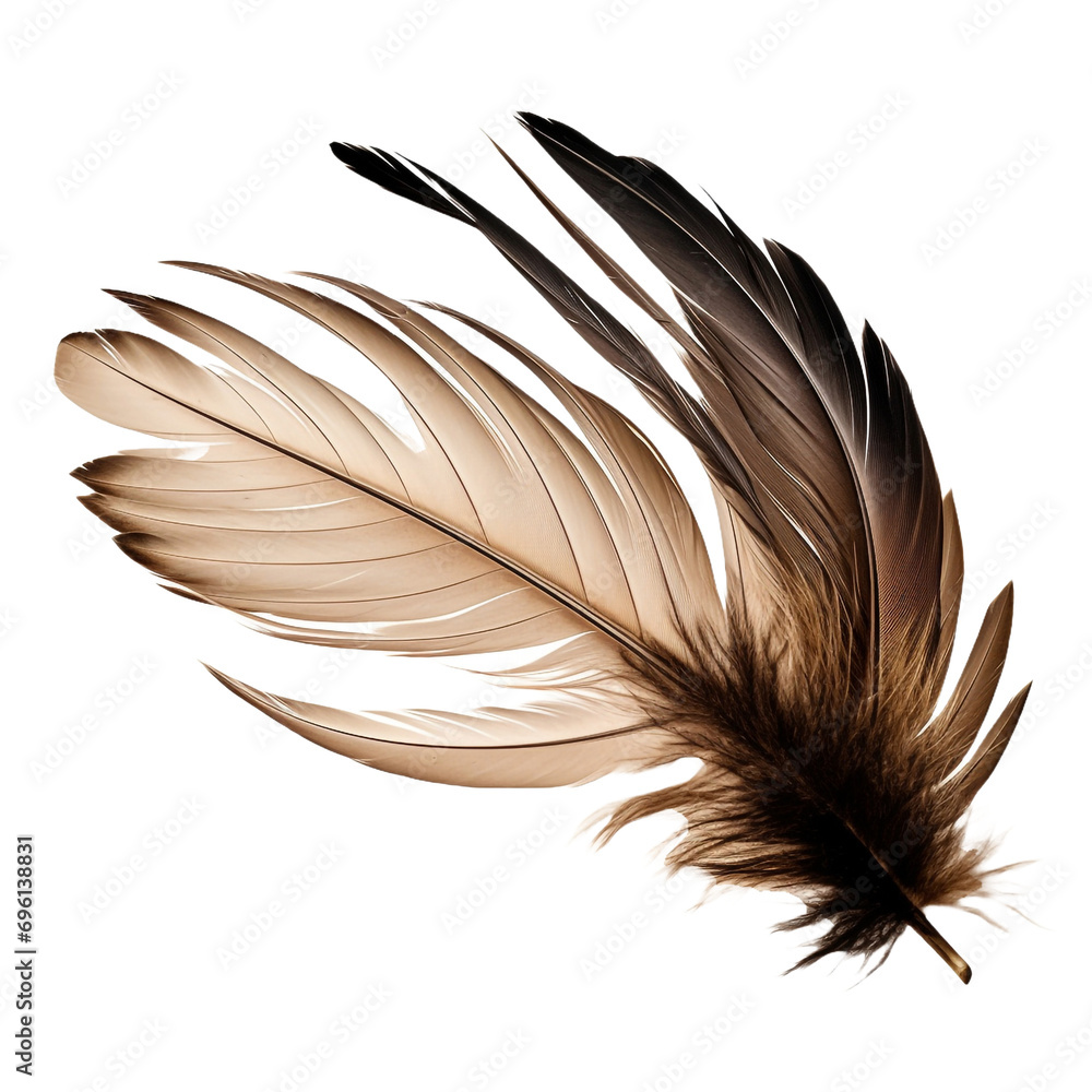 Obraz premium Feathers adorn a fashionable isolated on transparent background
