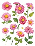 set of water colour vector pink flowers isolated and green leaves on white background ,vector, 3d 
