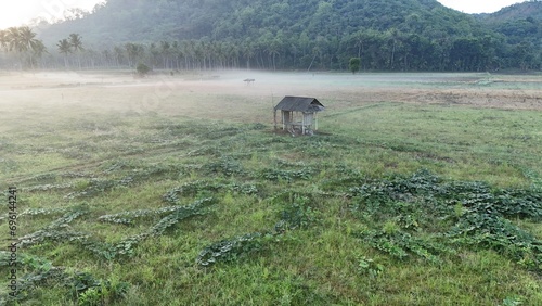 Morning atmosphere in Tempos hamlet, Gerung, West Lombok. a cold, wet mist blanketed the countryside photo