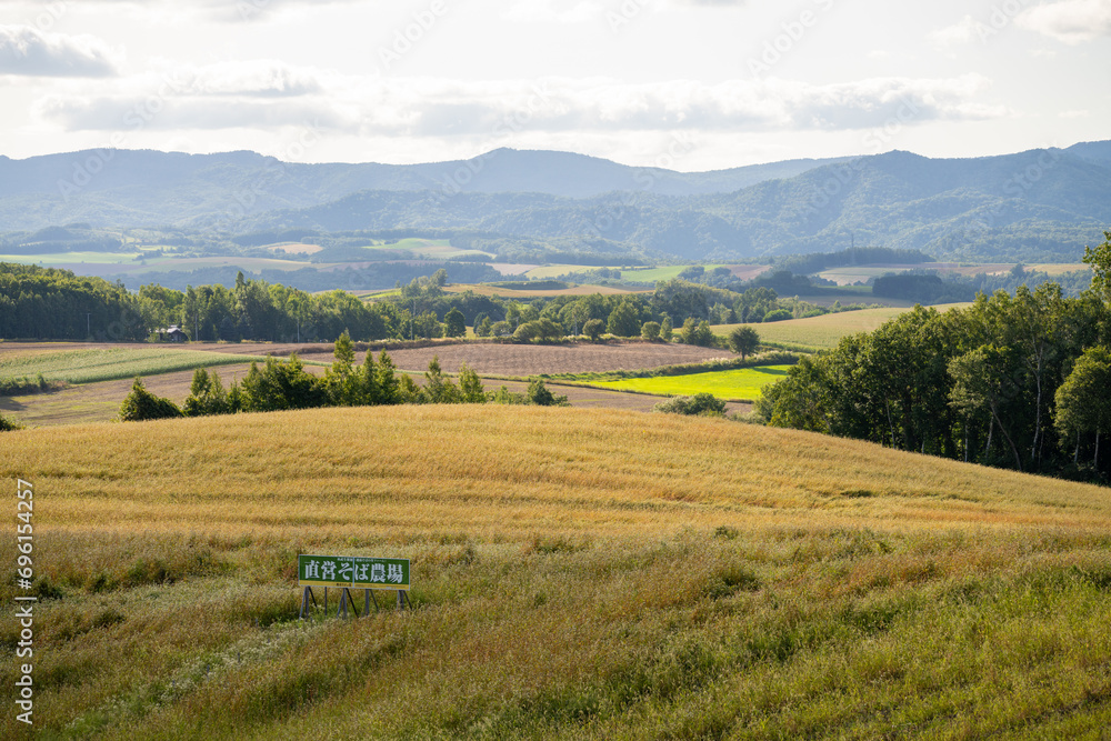 highland view of the farm fields near biei japan in central hokkaido, patchwork hills