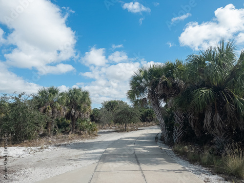 A bright and sunny floral and overgrown walkway in Florida. This tropical landscape scene of a rural yet forested area in the sunshine state shows the beautiful coastal vibe. Venice Florida.