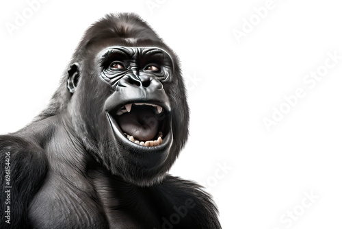 smiling gorilla on transparent background