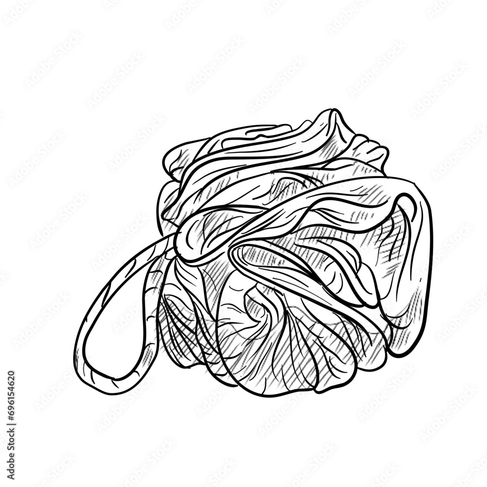 Fototapeta premium toiletries handdrawn illustration