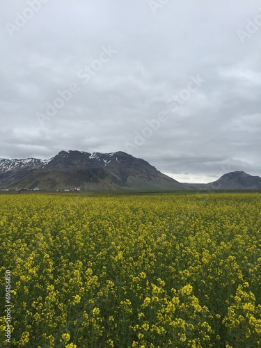iceland