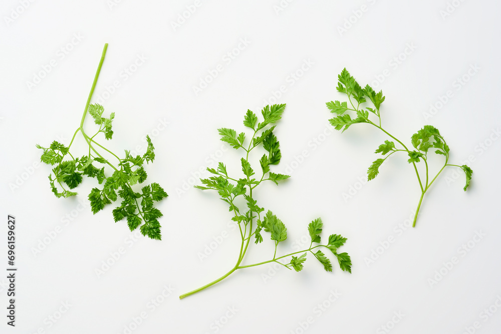 Φωτογραφία チャービル　chervil　ハーブ　herb フレッシュハーブ　fresh herbs