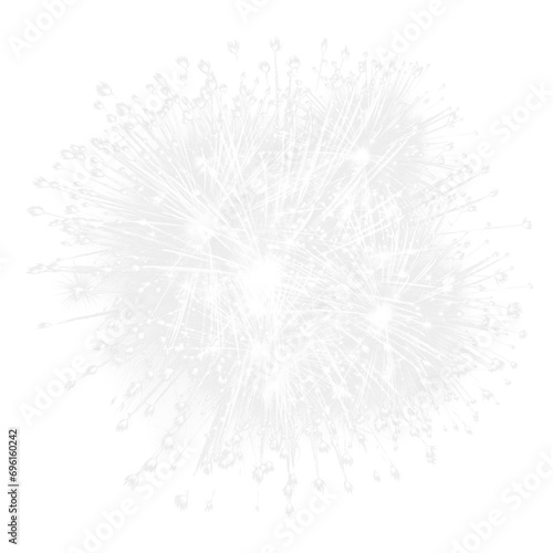 bright fireworks 
