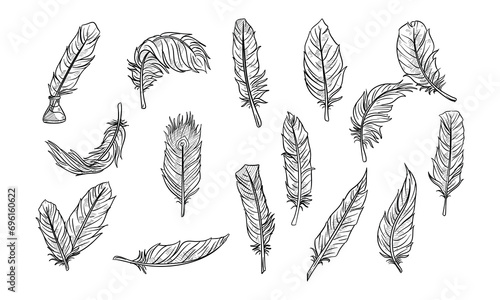 feather handdrawn collection