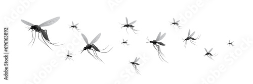 swarms of flying mosquitoes illustration