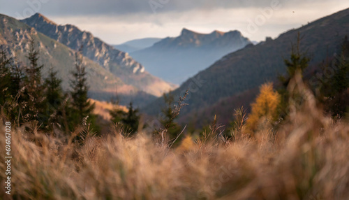 Vibrant autumn mountain landscape, golden foliage, serene atmosphere, scenic beauty, tranquil nature